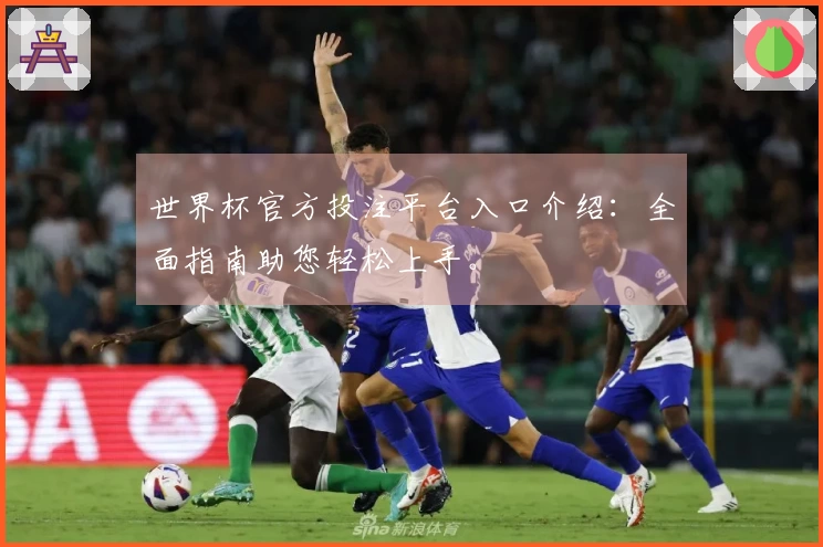 世界杯官方投注平台入口介绍:全面指南助您轻松上手。