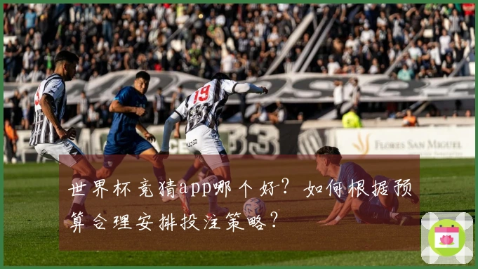 世界杯竞猜app哪个好？如何根据预算合理安排投注策略？