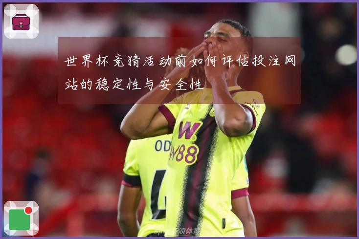 世界杯竞猜活动前如何评估投注网站的稳定性与安全性