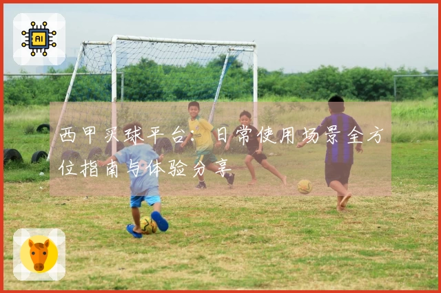 西甲买球平台:日常使用场景全方位指南与体验分享