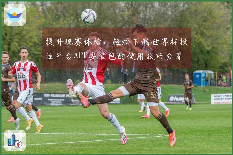 提升观赛体验，轻松下载世界杯投注平台APP安装包的使用技巧分享