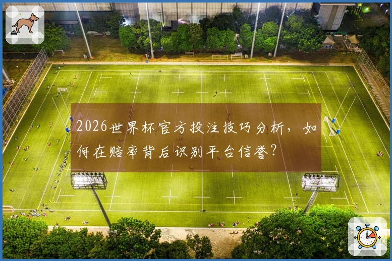 2026世界杯官方投注技巧分析，如何在赔率背后识别平台信誉？