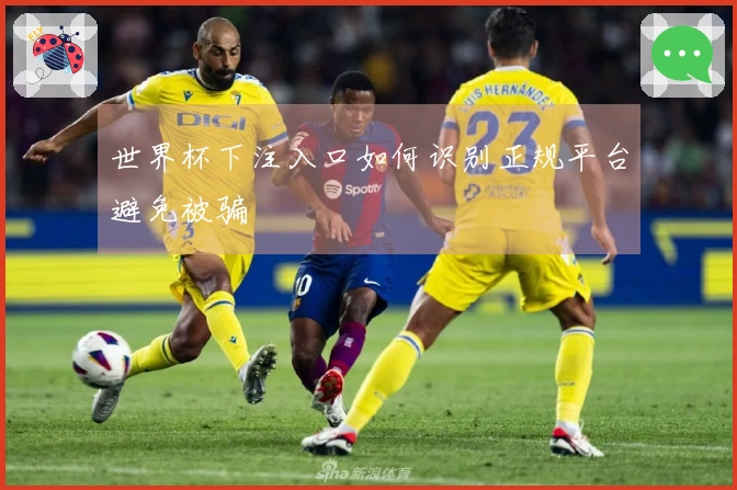 世界杯下注入口如何识别正规平台避免被骗