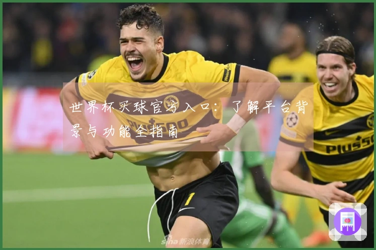 世界杯买球官方入口：了解平台背景与功能全指南