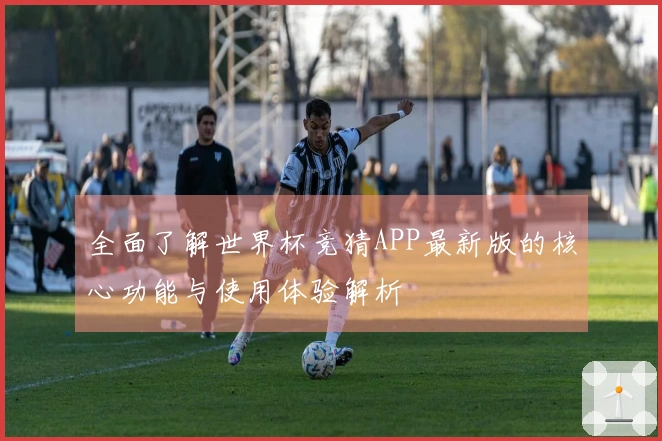 全面了解世界杯竞猜APP最新版的核心功能与使用体验解析