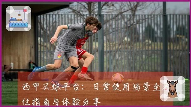西甲买球平台：日常使用场景全方位指南与体验分享