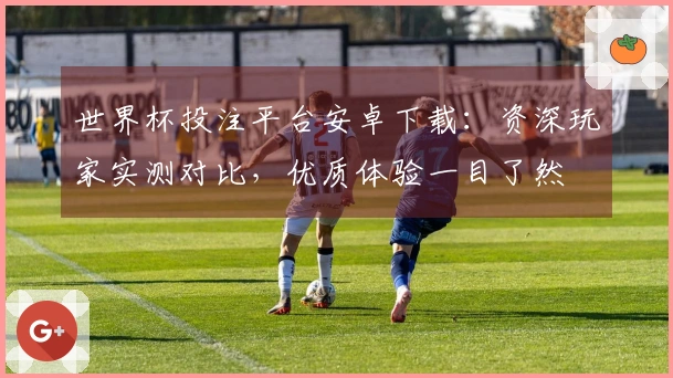 世界杯投注平台安卓下载:资深玩家实测对比,优质体验一目了然
