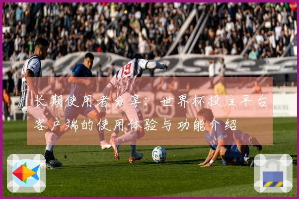长期使用者分享:世界杯投注平台客户端的使用体验与功能介绍