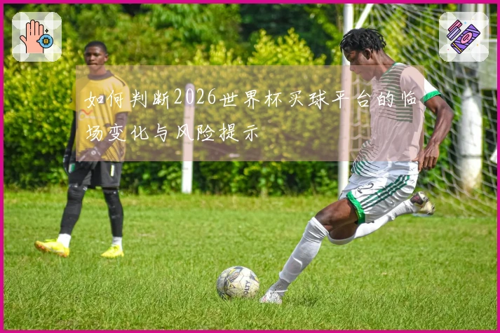 如何判断2026世界杯买球平台的临场变化与风险提示