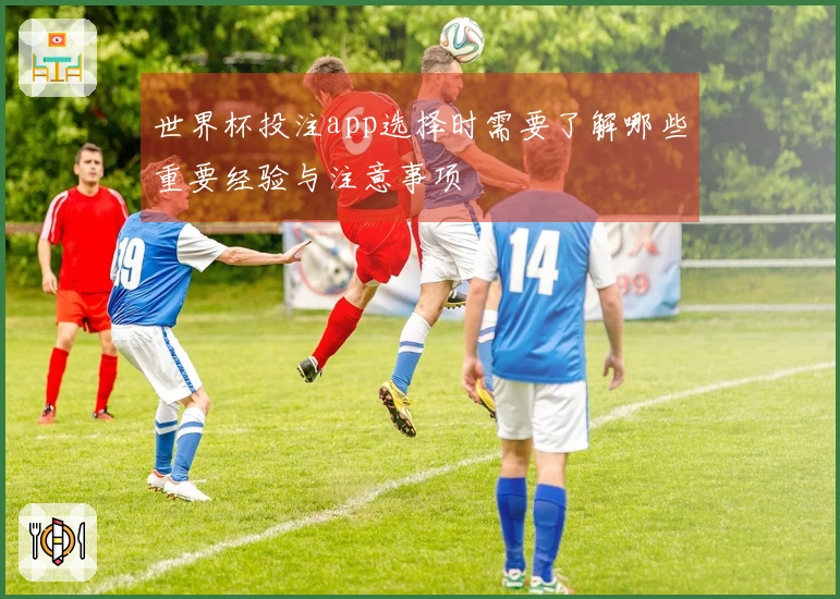 世界杯投注app选择时需要了解哪些重要经验与注意事项